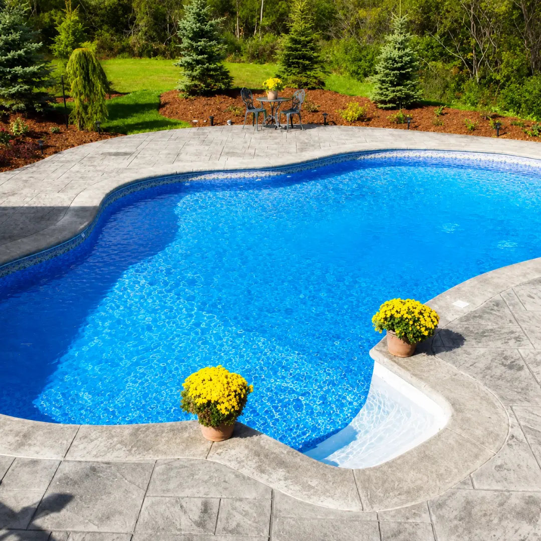 Swimming Pool Contractor